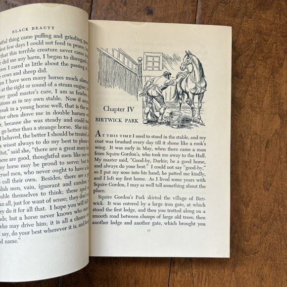 Black Beauty Anna Sewell Illustrated Junior Library Vintage Hardback Book 1945 - Picture 11 of 12